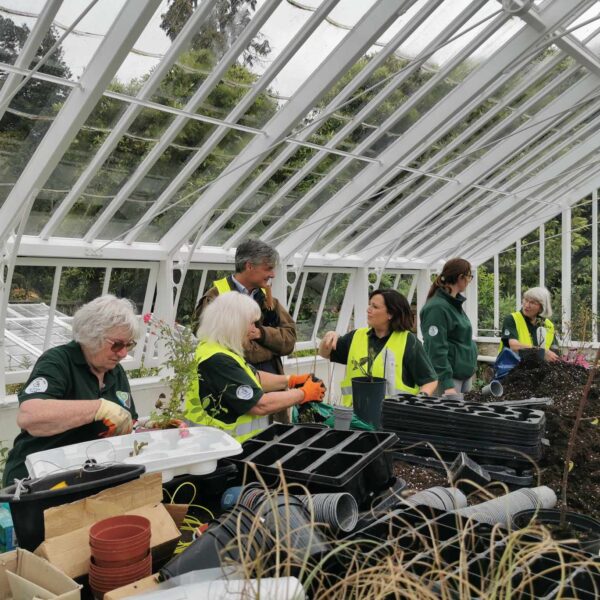 Visit to the Volunteers at the Annesley Gardens